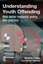 Understanding Youth Offending - Preview