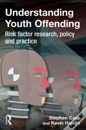 Capa do artigo Understanding Youth Offending