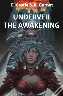 Capa do artigo Underveil