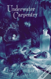 Capa do artigo Underwater Carpentry