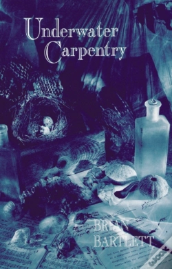 Capa do artigo Underwater Carpentry