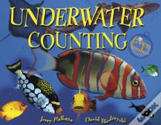 Underwater Counting