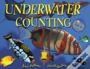 Capa do artigo Underwater Counting