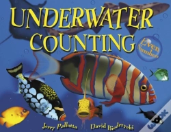 Capa do artigo Underwater Counting