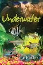 Underwater - Preview
