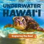 Underwater Hawai'I: Exploring The Reef - Preview