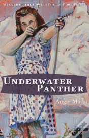 Capa do artigo Underwater Panther