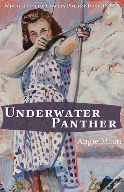 Capa do artigo Underwater Panther