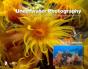 Underwater Photography - Preview