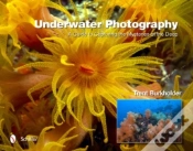 Capa do artigo Underwater Photography