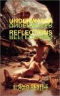 Underwater Reflections - Preview