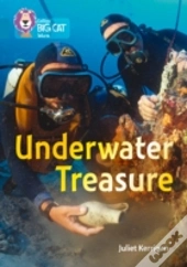 Underwater Treasure