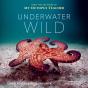 Underwater Wild - Preview