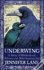 Capa do artigo Underwing