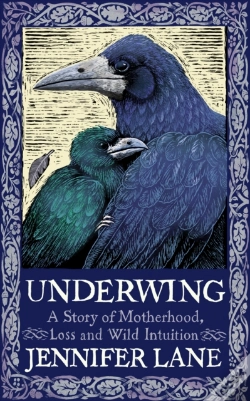 Capa do artigo Underwing