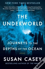 Capa do artigo Underworld