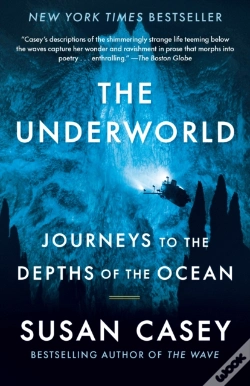 Capa do artigo Underworld