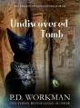 Undiscovered Tomb - Preview