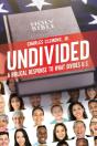 Undivided - Preview