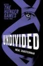 Undivided - Preview