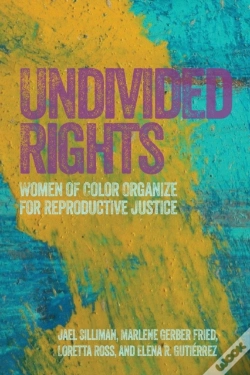 Capa do artigo Undivided Rights