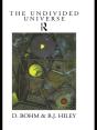 Undivided Universe - Preview