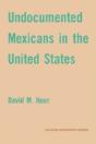Undocumented Mexicans In The Usa - Preview