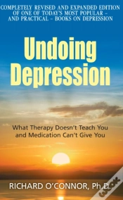 Capa do artigo Undoing Depression