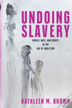 Capa do artigo Undoing Slavery