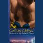 Undone By The Sultan'S Touch - Preview