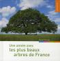 Une Année Avec Les Plus Beaux Arbres De France - Preview