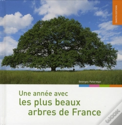 Capa do artigo Une Année Avec Les Plus Beaux Arbres De France