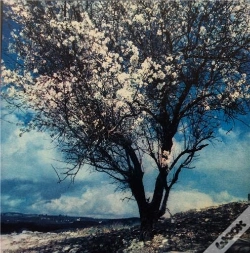 Capa do artigo Une Année De Solitude