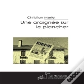Une Araignée Sur Le Plancher
