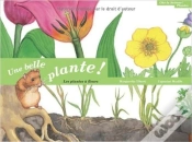 Capa do artigo Une Belle Plante