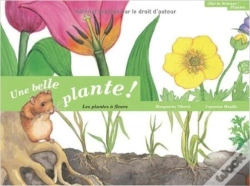 Capa do artigo Une Belle Plante
