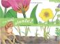 Une Belle Plante - Preview