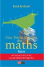 Une Breve Histoire Des Maths - Preview