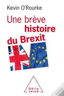 Capa do artigo Une Breve Histoire Du Brexit