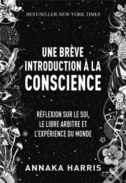 Capa do artigo Une Breve Introduction A La Conscience - Meditation Sur Le Soi, Le Libre-Arbitre Et L'Experience Du