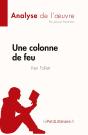 Une Colonne De Feu, De Ken Follett : Analyse De L'Oeuvre - Preview