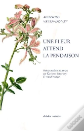 Une Fleur Attend La Pendaison