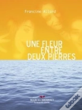 Une Fleur Entre Deux Pierres