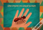 Capa do artigo Une Fourmi M