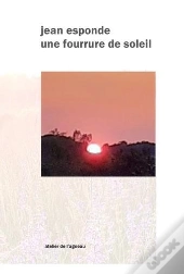 Une Fourrure De Soleil
