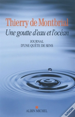 Capa do artigo Une Goutte D'Eau Et L'Océan ; Journal En Quête De Sens