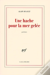Capa do artigo Une Hache Pour La Mer Gelee