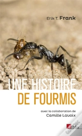 Une Histoire De Fourmis