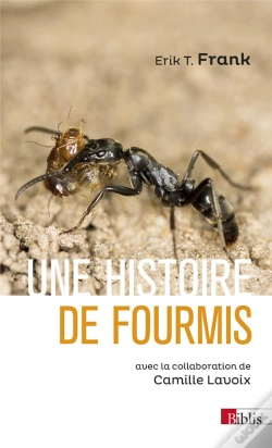 Capa do artigo Une Histoire De Fourmis
