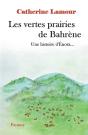 Une Histoire D'Enora : Les Vertes Prairies De Bahrène - Preview